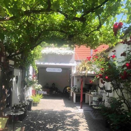 Ferienwohnung Im 'Schmoller - Hof' Neustadt an der Weinstraße エクステリア 写真