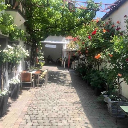 Ferienwohnung Im 'Schmoller - Hof' Neustadt an der Weinstraße エクステリア 写真