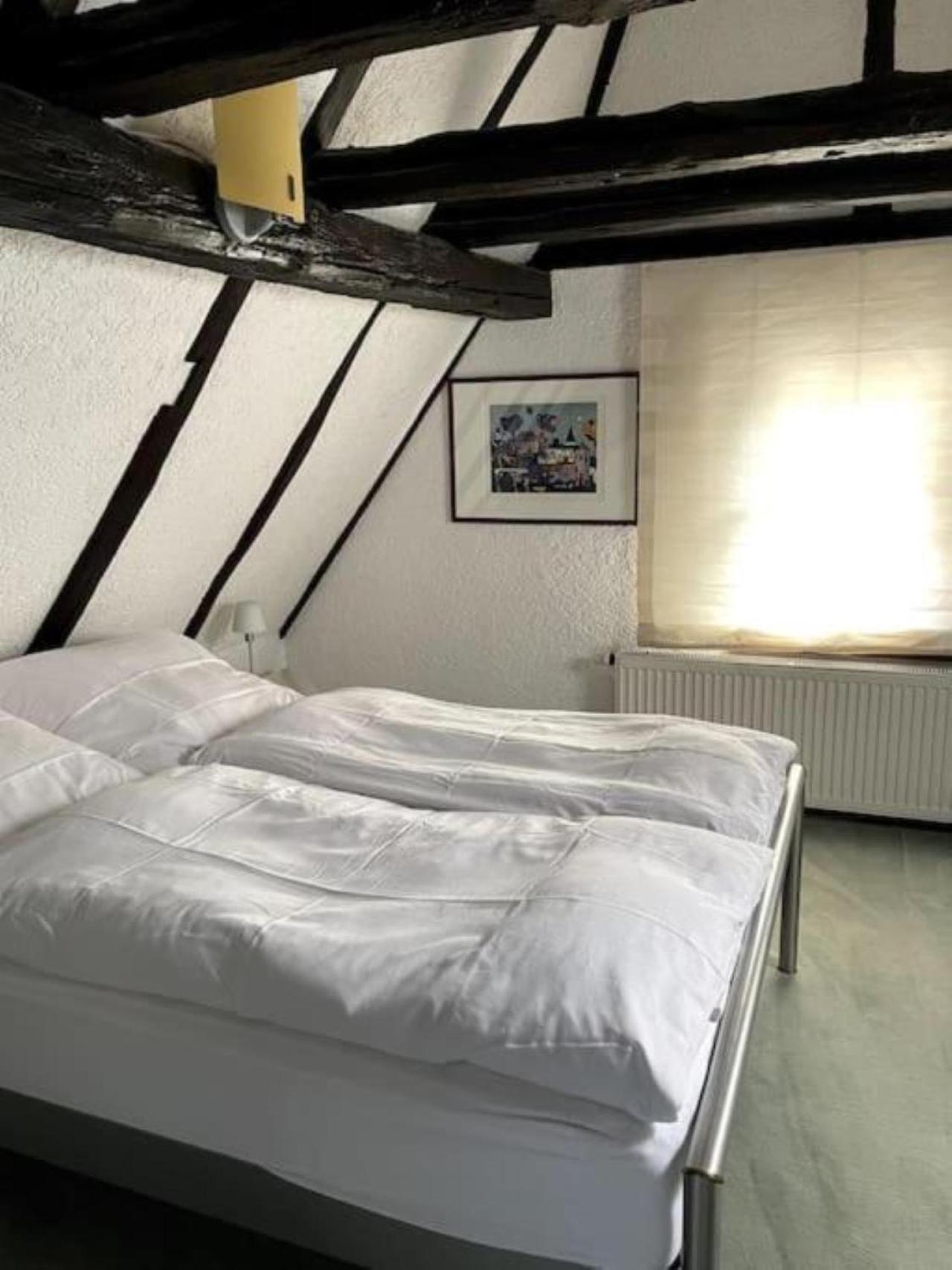 Ferienwohnung Im 'Schmoller - Hof' Neustadt an der Weinstraße エクステリア 写真